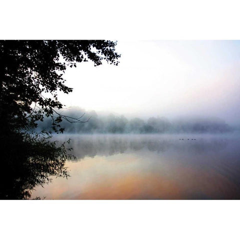 Misty Sunrise White Modern Wood Framed Art Print by Hausenflock, Alan