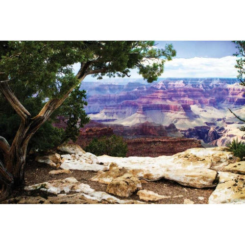 The Canyon I White Modern Wood Framed Art Print by Hausenflock, Alan