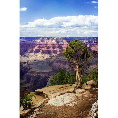 The Canyon Rim I White Modern Wood Framed Art Print by Hausenflock, Alan