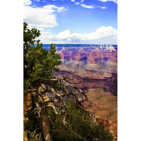 The Canyon Rim II Black Modern Wood Framed Art Print with Double Matting by Hausenflock, Alan