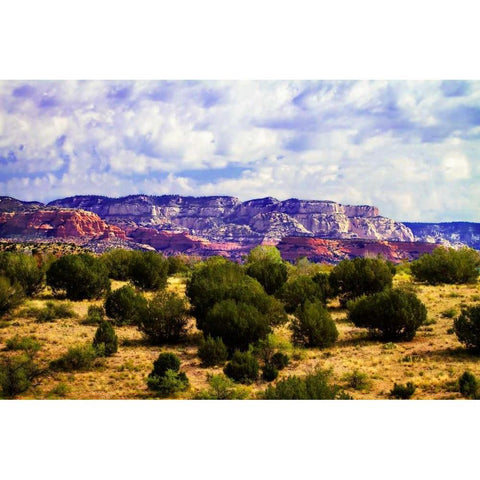 The High Desert I Gold Ornate Wood Framed Art Print with Double Matting by Hausenflock, Alan