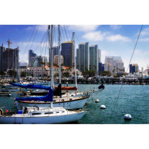 San Diego Que I White Modern Wood Framed Art Print by Hausenflock, Alan