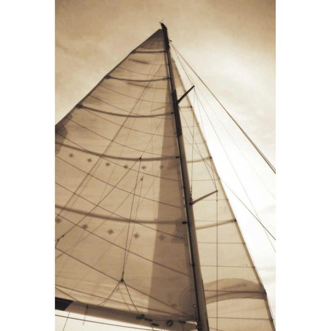 Beaufort Sails I White Modern Wood Framed Art Print by Hausenflock, Alan