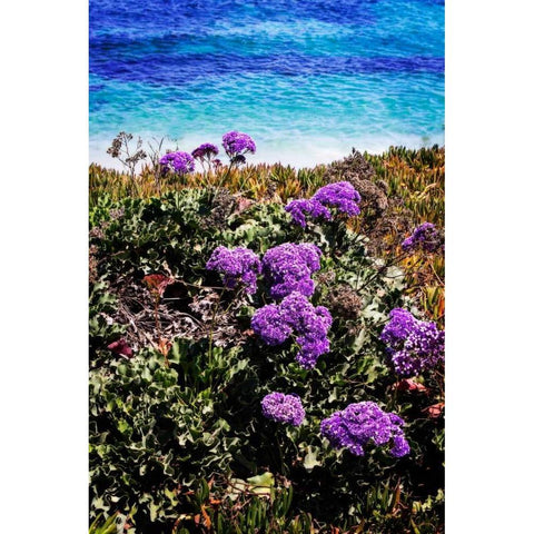 La Jolla Beach I Black Modern Wood Framed Art Print with Double Matting by Hausenflock, Alan