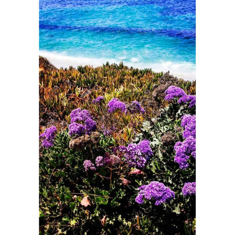 La Jolla Beach II Black Modern Wood Framed Art Print with Double Matting by Hausenflock, Alan