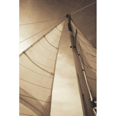 Beaufort Sails II White Modern Wood Framed Art Print by Hausenflock, Alan