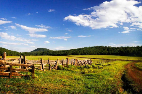 Big Sky Ranch I White Modern Wood Framed Art Print with Double Matting by Hausenflock, Alan