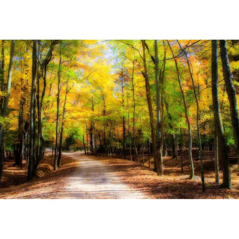 Goose Pond Lane I White Modern Wood Framed Art Print by Hausenflock, Alan