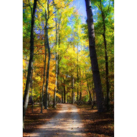 Goose Pond Lane III Gold Ornate Wood Framed Art Print with Double Matting by Hausenflock, Alan