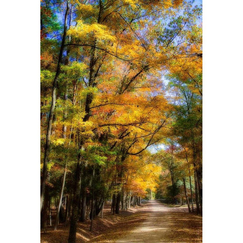 Goose Pond Lane IV Gold Ornate Wood Framed Art Print with Double Matting by Hausenflock, Alan