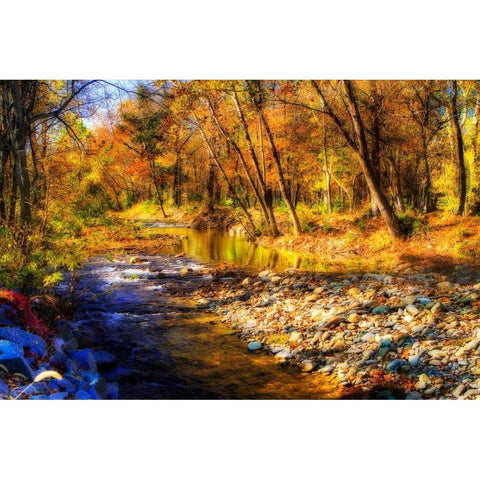 Autumn Waters I White Modern Wood Framed Art Print by Hausenflock, Alan