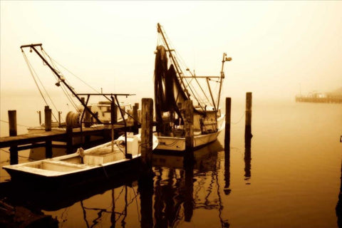 A New Day Coming Black Ornate Wood Framed Art Print with Double Matting by Hausenflock, Alan