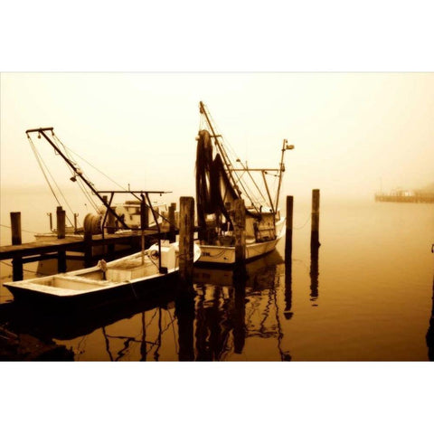 A New Day Coming White Modern Wood Framed Art Print by Hausenflock, Alan