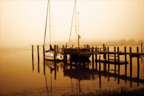 Stella White Modern Wood Framed Art Print with Double Matting by Hausenflock, Alan