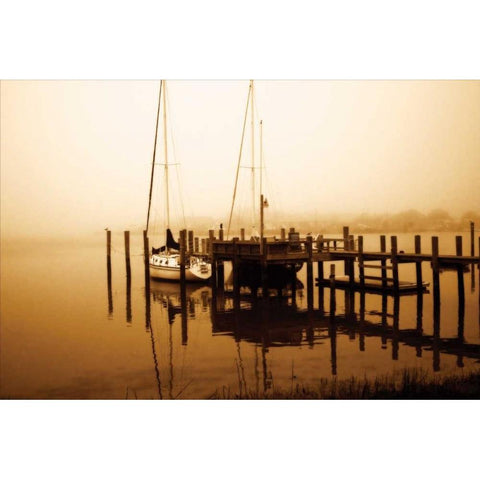 Stella Gold Ornate Wood Framed Art Print with Double Matting by Hausenflock, Alan