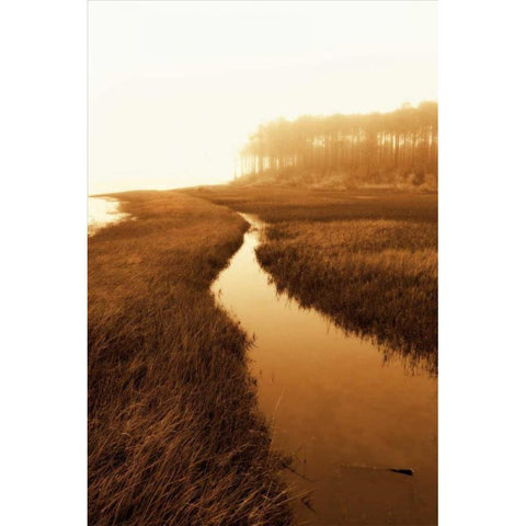 Harkers Island Marsh I White Modern Wood Framed Art Print by Hausenflock, Alan