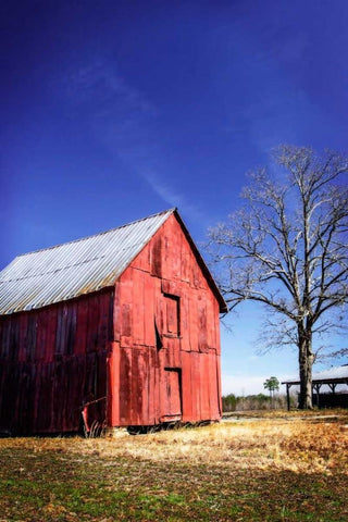 Old Tobacco Barn III White Modern Wood Framed Art Print with Double Matting by Hausenflock, Alan