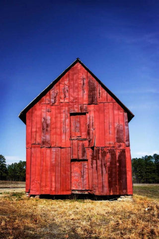 Old Tobacco Barn IV Black Ornate Wood Framed Art Print with Double Matting by Hausenflock, Alan