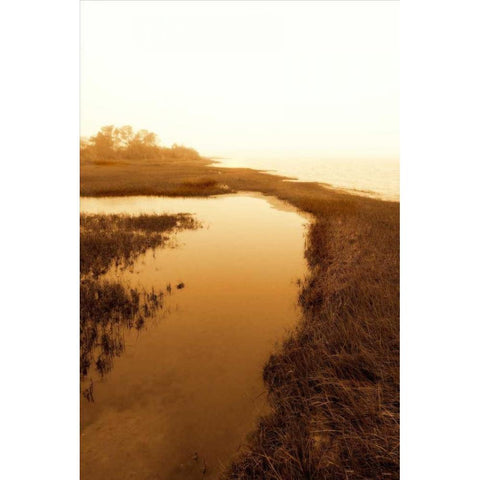 Harkers Island Marsh II Black Modern Wood Framed Art Print with Double Matting by Hausenflock, Alan