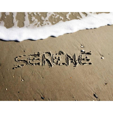 Serene Black Modern Wood Framed Art Print with Double Matting by Hausenflock, Alan