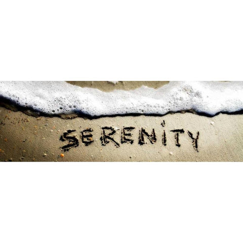 Serenity Black Modern Wood Framed Art Print by Hausenflock, Alan