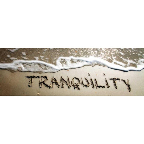 Tranquility White Modern Wood Framed Art Print by Hausenflock, Alan