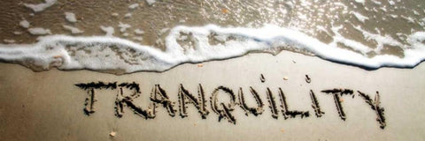 Tranquility White Modern Wood Framed Art Print with Double Matting by Hausenflock, Alan