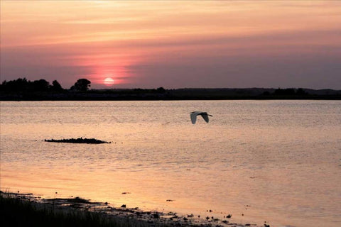 Sunset in the Marsh White Modern Wood Framed Art Print with Double Matting by Hausenflock, Alan