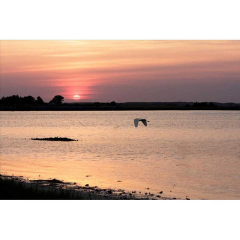 Sunset in the Marsh White Modern Wood Framed Art Print by Hausenflock, Alan