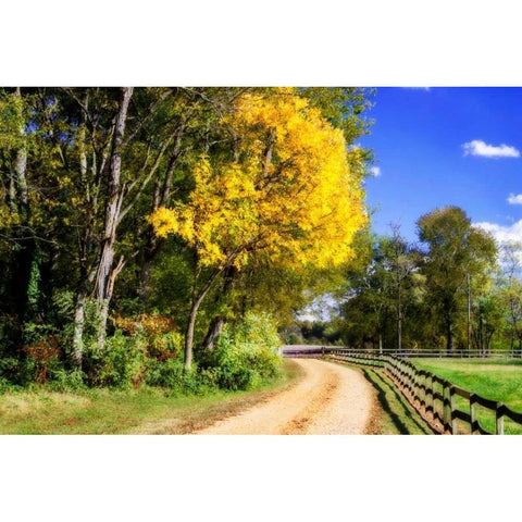 Early Virginia Autumn Gold Ornate Wood Framed Art Print with Double Matting by Hausenflock, Alan