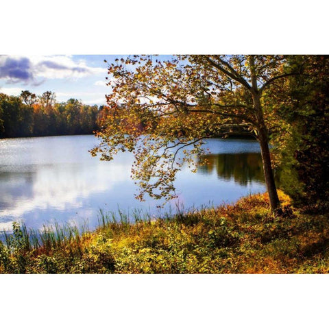 Horseshoe Lake in Autumn Black Modern Wood Framed Art Print with Double Matting by Hausenflock, Alan