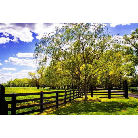 Spring on the Farm II Black Modern Wood Framed Art Print with Double Matting by Hausenflock, Alan