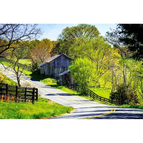 Winding Road White Modern Wood Framed Art Print by Hausenflock, Alan