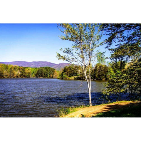 Beaver Creek Gold Ornate Wood Framed Art Print with Double Matting by Hausenflock, Alan