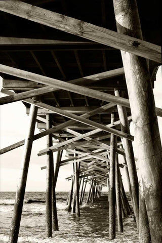 Atlantic Beach Pier I Black Ornate Wood Framed Art Print with Double Matting by Hausenflock, Alan