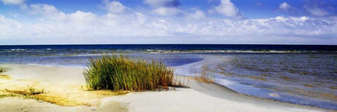 Cedar Island Beach I White Modern Wood Framed Art Print with Double Matting by Hausenflock, Alan