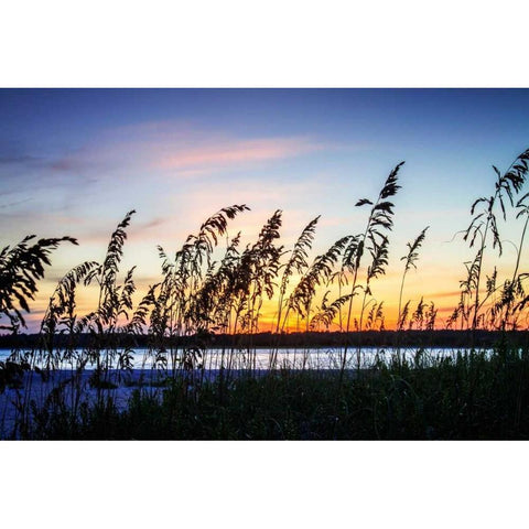 Masonboro Sunset I Black Modern Wood Framed Art Print with Double Matting by Hausenflock, Alan