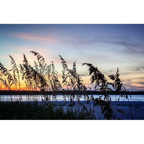 Masonboro Sunset II White Modern Wood Framed Art Print by Hausenflock, Alan