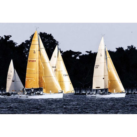 Race at Annapolis V White Modern Wood Framed Art Print by Hausenflock, Alan