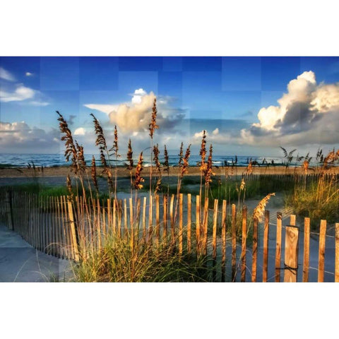 Morning On The Beach Gold Ornate Wood Framed Art Print with Double Matting by Hausenflock, Alan