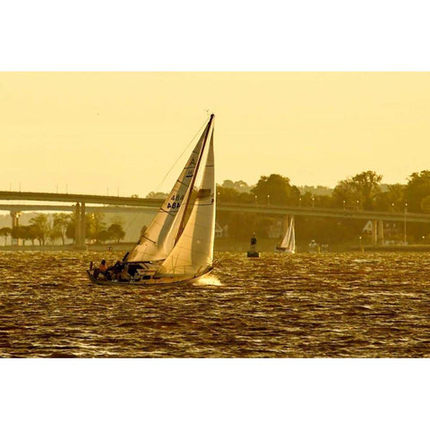 Severn River Sailing I Gold Ornate Wood Framed Art Print with Double Matting by Hausenflock, Alan