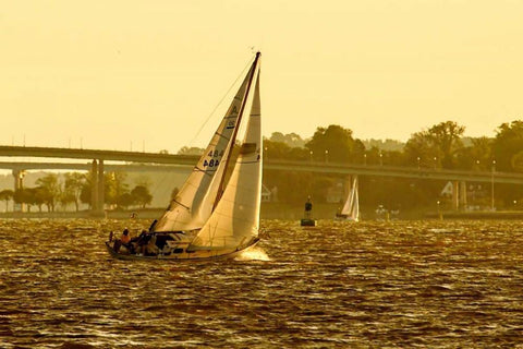 Severn River Sailing I White Modern Wood Framed Art Print with Double Matting by Hausenflock, Alan