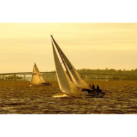 Severn River Sailing II White Modern Wood Framed Art Print by Hausenflock, Alan