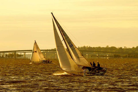 Severn River Sailing II White Modern Wood Framed Art Print with Double Matting by Hausenflock, Alan