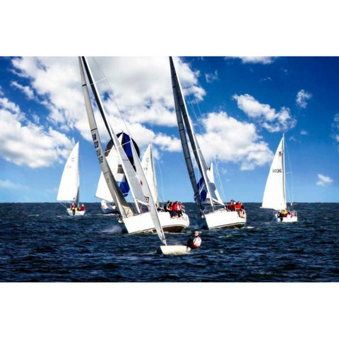 A Perfect Sail I White Modern Wood Framed Art Print by Hausenflock, Alan