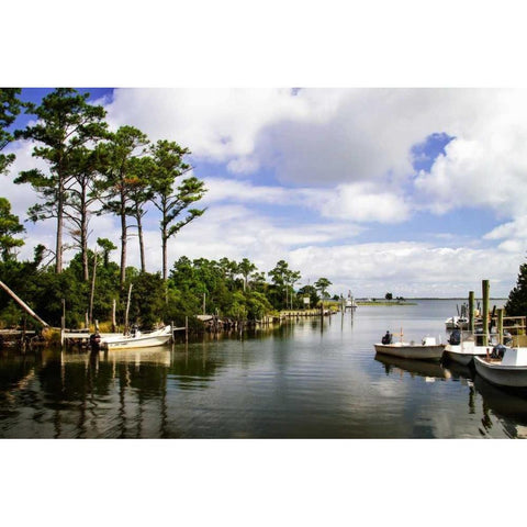 Small Harbor I White Modern Wood Framed Art Print by Hausenflock, Alan