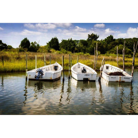 Three Small Boats I Gold Ornate Wood Framed Art Print with Double Matting by Hausenflock, Alan