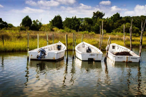 Three Small Boats I Black Ornate Wood Framed Art Print with Double Matting by Hausenflock, Alan