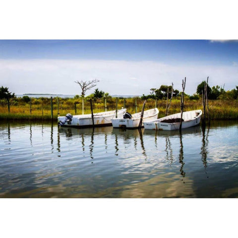 Three Small Boats II Gold Ornate Wood Framed Art Print with Double Matting by Hausenflock, Alan