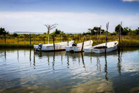 Three Small Boats II White Modern Wood Framed Art Print with Double Matting by Hausenflock, Alan